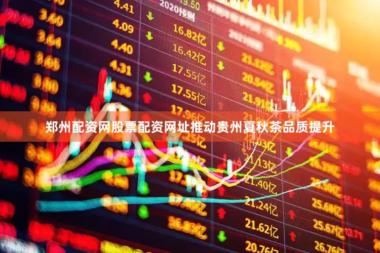 郑州配资网股票配资网址推动贵州夏秋茶品质提升